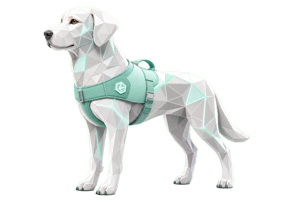 ERINYS CareDog